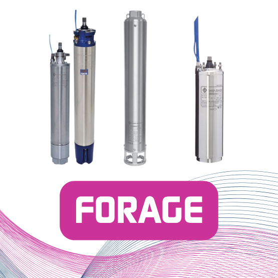 FORAGE